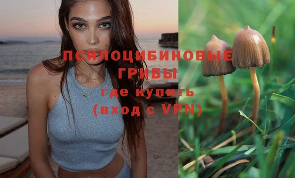 скорость Володарск