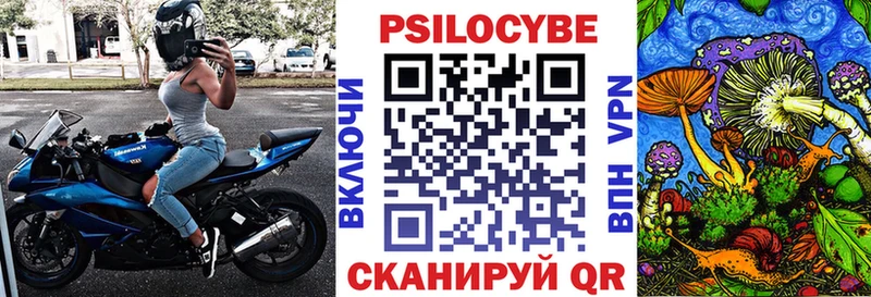 Галлюциногенные грибы Psilocybe  сколько стоит  мега онион  Очёр 
